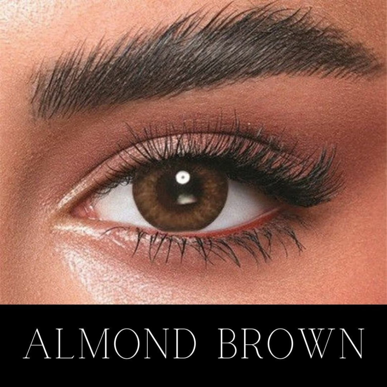 Bella Almond Brown – One day Collection EYE DOT