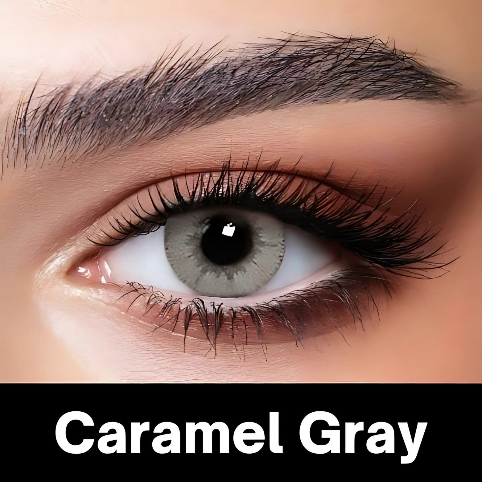 Bella Caramel Gray Contact Lenses – Glow Collection EYE DOT