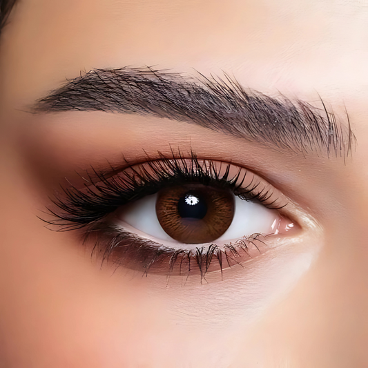 Bella Cinnamon Brown Contact Lenses – Elite Collection EYE DOT