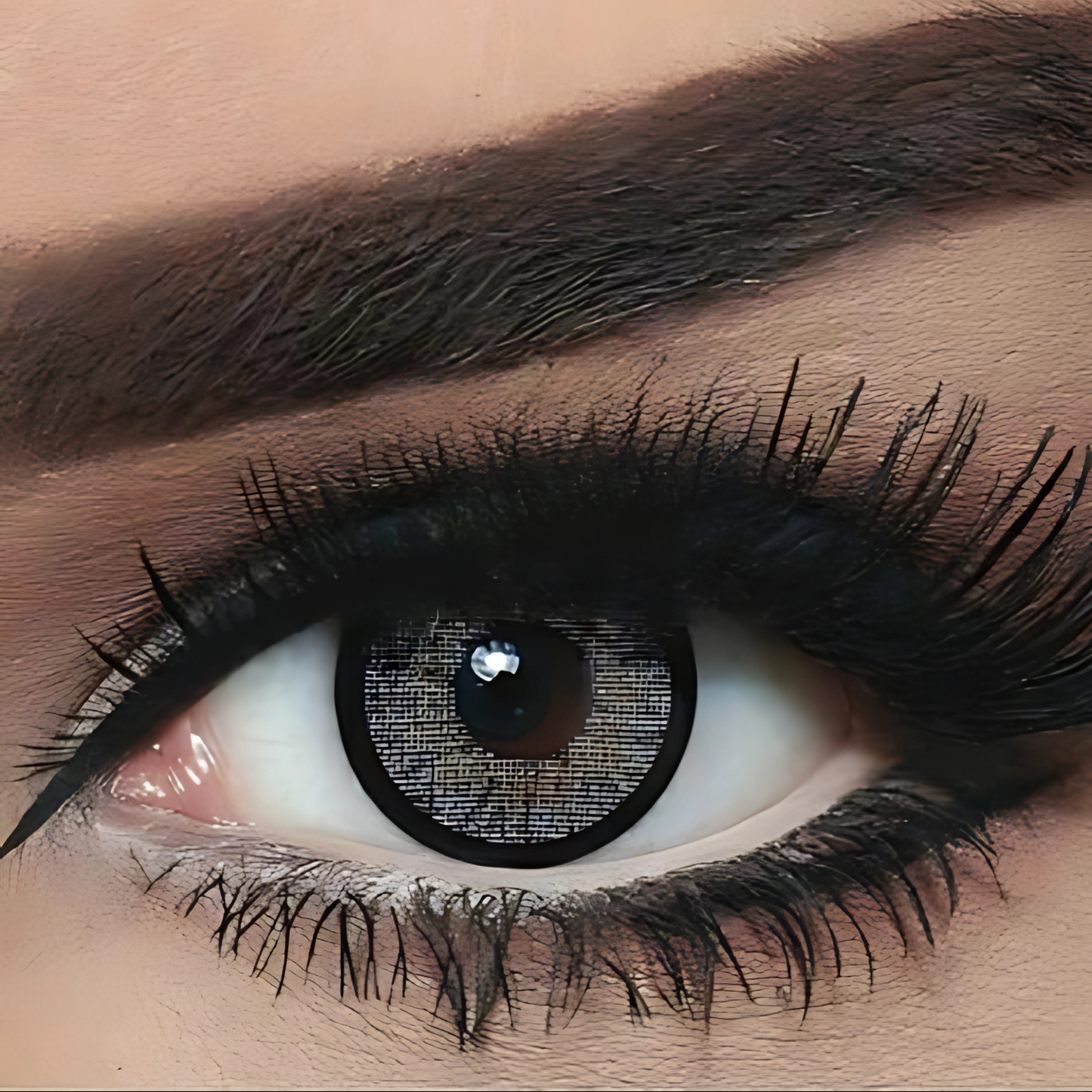Bella Cool Grey Contact Lenses – Highlight Collection EYE DOT